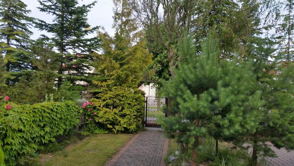 Apartament II Рови Екстериор снимка